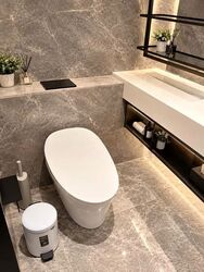 Cuscaden Reserve (D10), Condominium #627405881